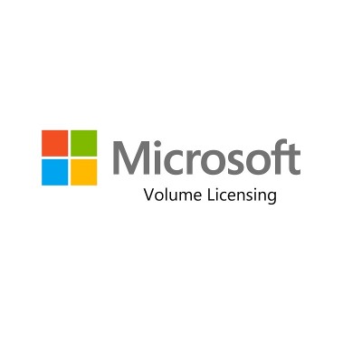 Microsoft SQL Server 2019 Standard - License - local, Microsoft Qualified - OLP: Government - Linux, Win - English